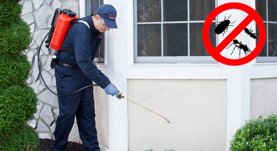 Sungurlu Pire İlaçlama böcek ilaçlama ve haşere kontrolü — ilaclama-tr.com